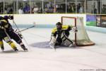 Photo hockey match Clermont-Ferrand - Roanne le 30/08/2016