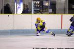 Photo hockey match Clermont-Ferrand II - Toulon le 14/02/2015