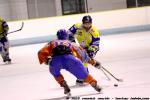 Photo hockey match Clermont-Ferrand II - Toulon le 14/02/2015