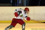 Photo hockey match Courbevoie  - Cergy-Pontoise le 13/02/2010