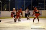 Photo hockey match Courbevoie  - La Roche-sur-Yon le 02/04/2016