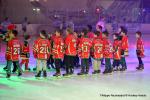 Photo hockey match Courbevoie  - Tours  le 13/02/2016