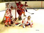 Photo hockey match Courbevoie  - Valence le 14/02/2009