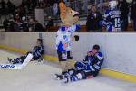 Photo hockey match Courchevel-Mribel-Pralognan - Tours  le 29/03/2014