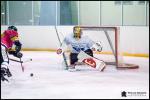 Photo hockey match Dammarie-les-Lys - Paris (FV) le 07/10/2017