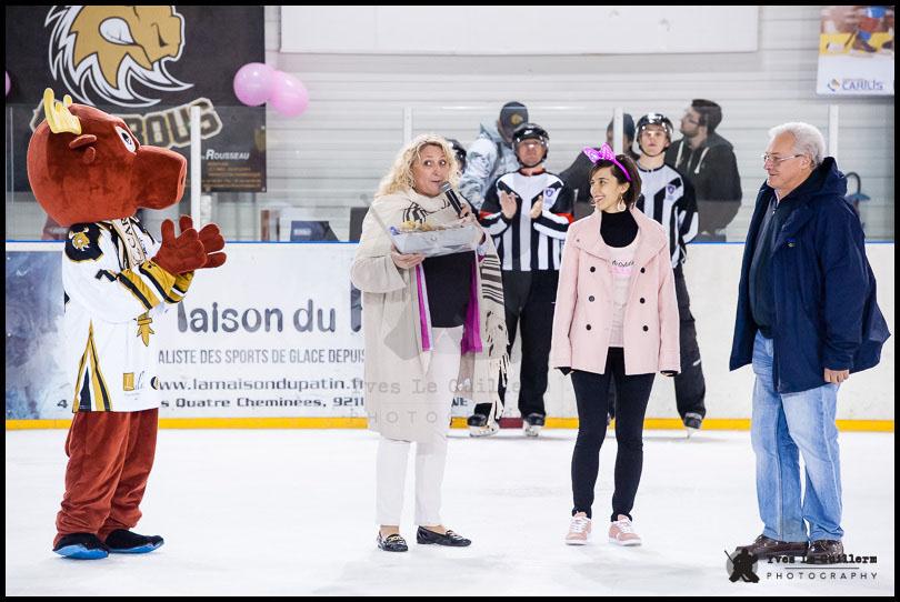 Photo hockey match Dammarie-les-Lys - Paris (FV)