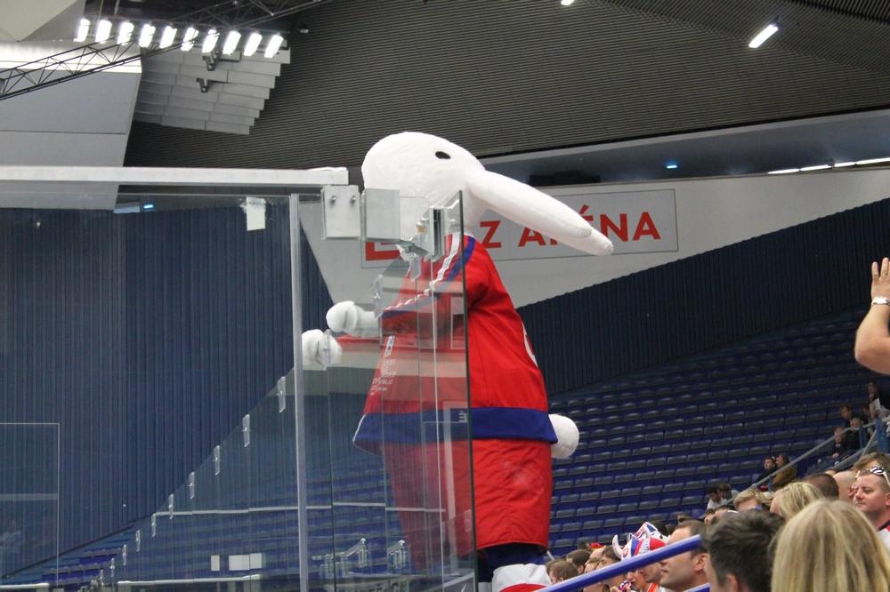 Photo hockey match Denmark - Belarus
