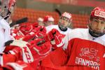 Photo hockey match Denmark - France le 18/04/2019