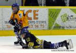 Photo hockey match Dijon  - Amiens  le 15/11/2013