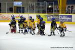 Photo hockey match Dijon  - Amiens  le 15/11/2013