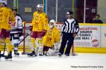 Photo hockey match Dijon  - Amiens  le 17/11/2015