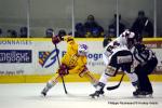 Photo hockey match Dijon  - Amiens  le 17/11/2015