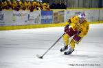 Photo hockey match Dijon  - Amiens  le 17/11/2015