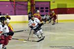 Photo hockey match Dijon  - Amiens  le 22/01/2017