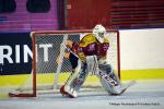 Photo hockey match Dijon  - Amiens  le 22/01/2017