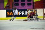 Photo hockey match Dijon  - Amiens  le 22/01/2017