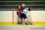 Photo hockey match Dijon  - Amiens  le 22/01/2017