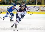 Photo hockey match Dijon  - Angers  le 13/12/2014