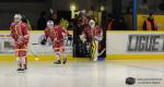Photo hockey match Dijon  - Brest  le 09/01/2016