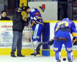 Photo hockey match Dijon  - Brianon  le 15/03/2014