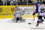 Photo hockey match Dijon  - Caen  le 23/12/2013