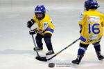 Photo hockey match Dijon  - Chamonix  le 20/02/2015