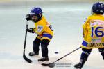 Photo hockey match Dijon  - Chamonix  le 20/02/2015