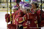 Photo hockey match Dijon  - Chamonix  le 06/02/2016
