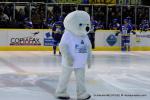 Photo hockey match Dijon  - Chamonix  le 16/11/2012