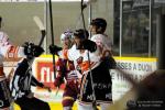 Photo hockey match Dijon  - Epinal  le 16/01/2016