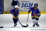 Photo hockey match Dijon  - Epinal  le 27/01/2017