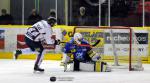 Photo hockey match Dijon  - Grenoble  le 16/11/2014