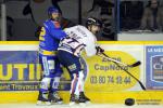 Photo hockey match Dijon  - Grenoble  le 04/03/2015