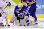Photo hockey match Dijon  - Grenoble  le 17/01/2012