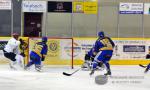 Photo hockey match Dijon  - Lyon le 06/09/2014