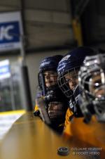 Photo hockey match Dijon  - Lyon le 15/03/2016