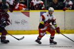 Photo hockey match Dijon  - Metz le 08/02/2020