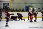 Photo hockey match Dijon  - Metz le 08/02/2020