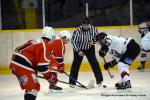 Photo hockey match Dijon  - Metz le 11/02/2023