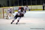 Photo hockey match Dijon  - Metz le 11/02/2023