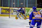 Photo hockey match Dijon  - Mulhouse le 18/01/2013