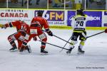 Photo hockey match Dijon  - Roanne le 24/01/2026