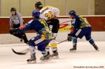 Photo hockey match Dijon  - Rouen le 29/11/2008
