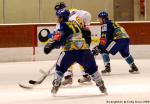 Photo hockey match Dijon  - Rouen le 29/11/2008