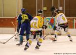 Photo hockey match Dijon  - Rouen le 29/11/2008