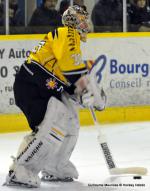 Photo hockey match Dijon  - Rouen le 23/11/2013