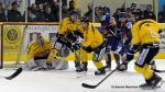 Photo hockey match Dijon  - Rouen le 23/11/2013