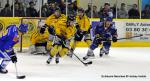 Photo hockey match Dijon  - Rouen le 23/11/2013