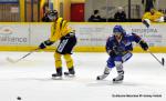 Photo hockey match Dijon  - Rouen le 23/11/2013