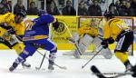 Photo hockey match Dijon  - Rouen le 23/11/2013